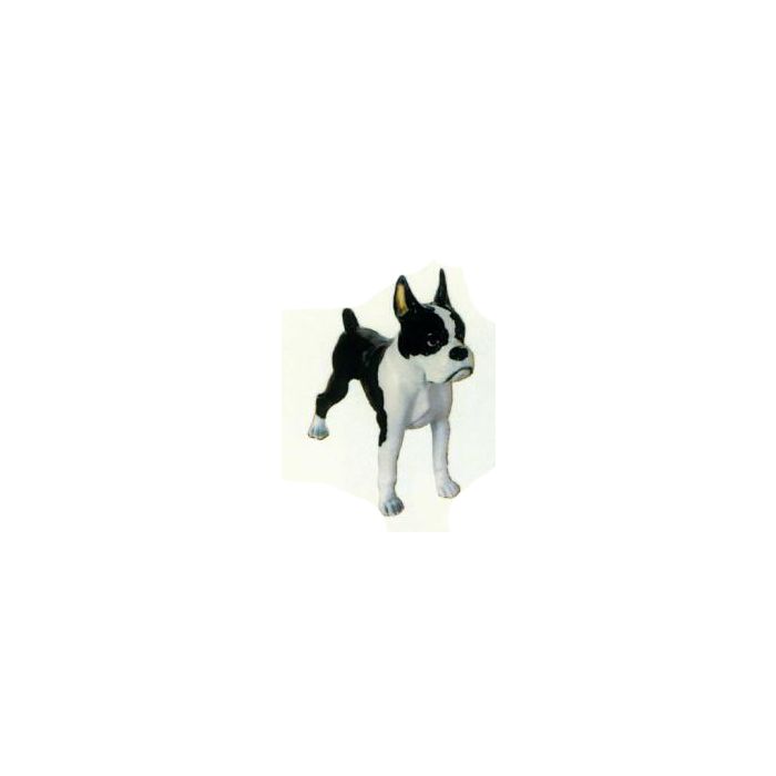 Boston Terrier stehend schwarz weiß lebensgroß Dekorationsfigur