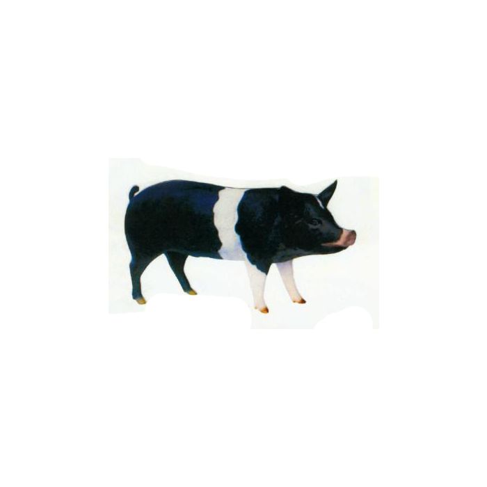 schwarzes stehendes Schwein lebensgroß Deko- & Werbefigur