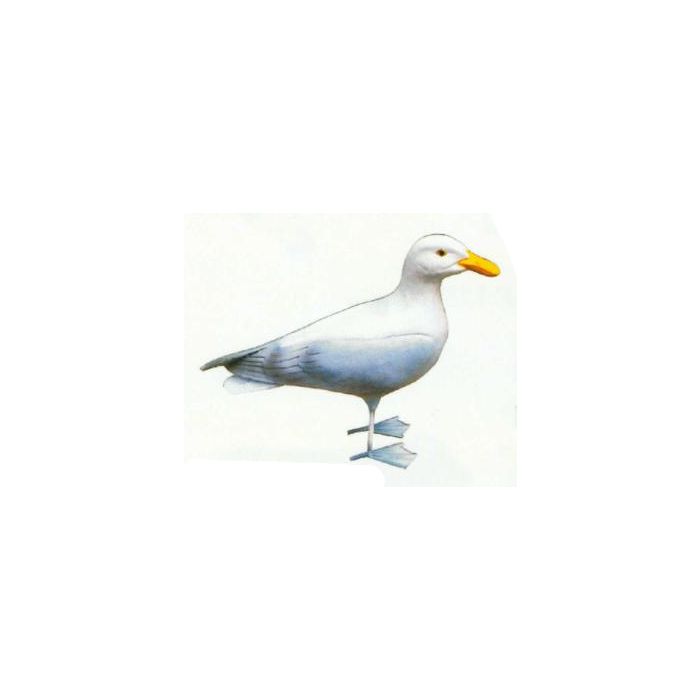 Möwe stehend lebensgroß Dekorationsfigur