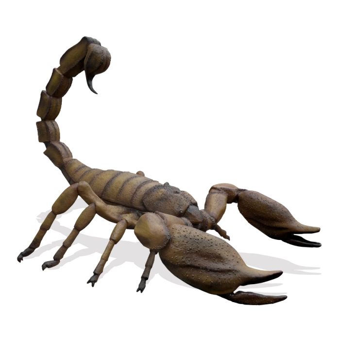 XXL Skorpion übergroß XXL Deko- & Werbefigur