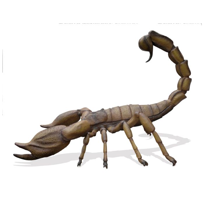 XXL Skorpion übergroß XXL Deko- & Werbefigur