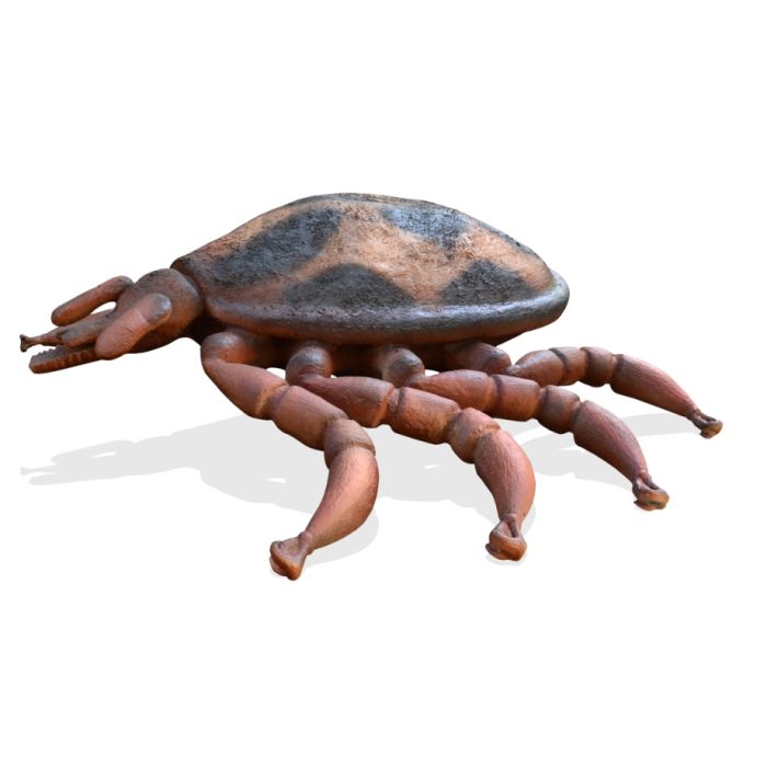 Zecke normal übergroß XXL Deko- & Werbefigur