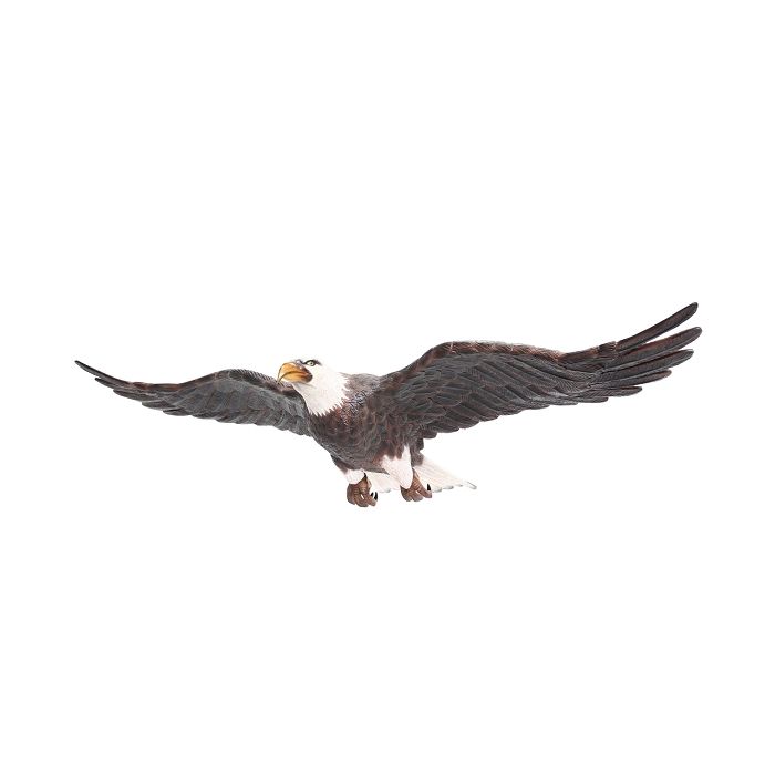 Weißköpfiger Adler fliegend lebensgroß Deko- & Werbefigur