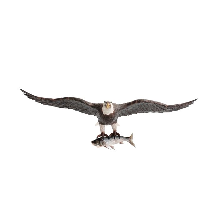 Weißköpfiger Adler fliegend mit Fisch lebensgroß Deko- & Werbefigur
