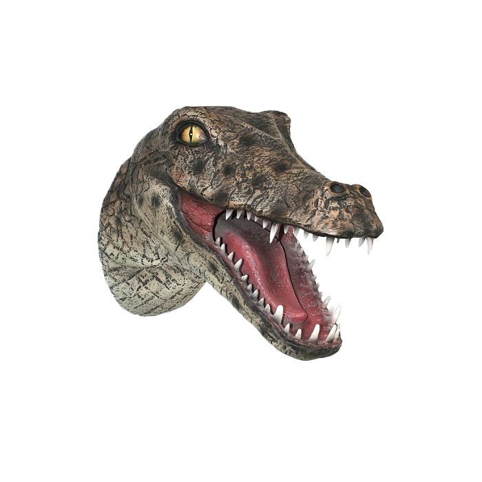 Alligatorkopf  lebensgroß Dekoköpfe & Büsten