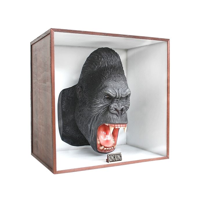 Gorillakopf in Schaukasten lebensgroß Dekoköpfe & Büsten