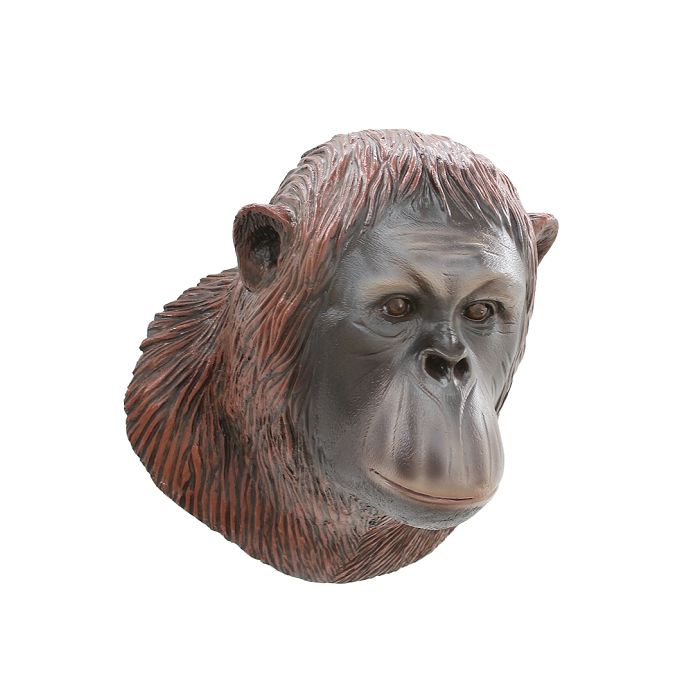 Orangutankopf lebensgroß Dekoköpfe & Büsten