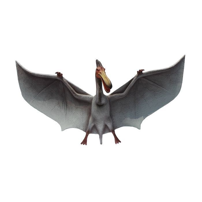 Dinosaurier Pterosaurus fliegend lebensgroß Deko- & Werbefigur