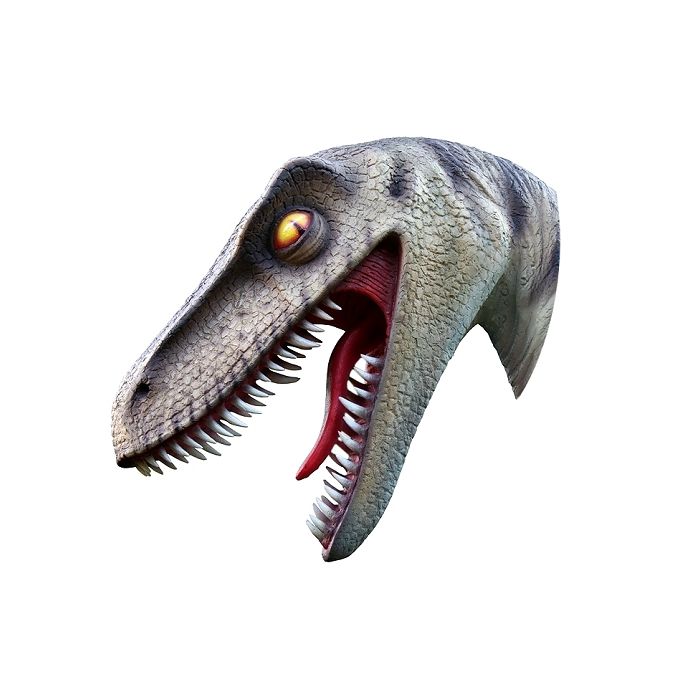 Dinosaurier Raptorkopf lebensgroß Dekoköpfe & Büsten