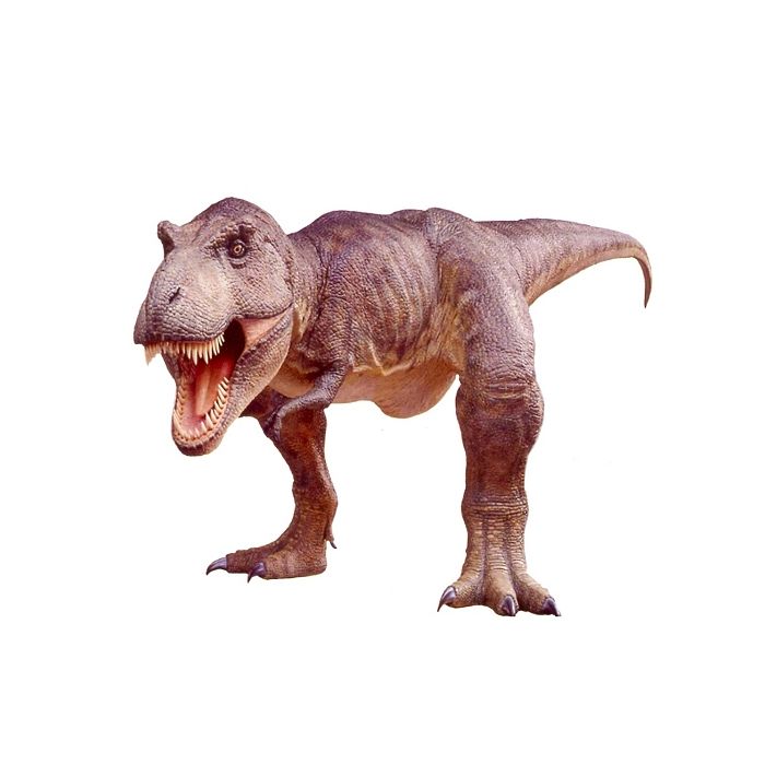 Dinosaurier Tyrannosaurus sehr groß lebensgroß Deko- & Werbefigur