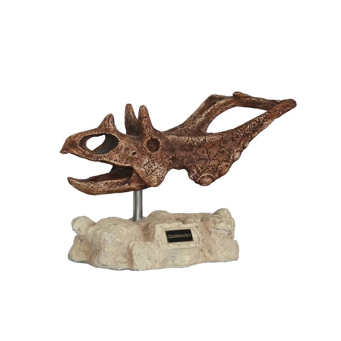 Dinosaurier Chasmosaurus auf Stein lebensgroß Dekoköpfe & Büsten