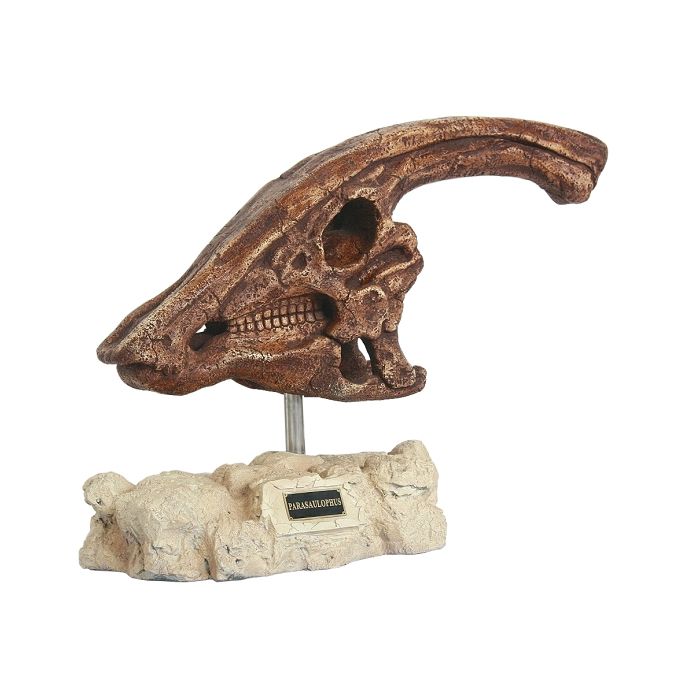Dinosaurier Parasaulophus auf Stein lebensgroß Dekoköpfe & Büsten