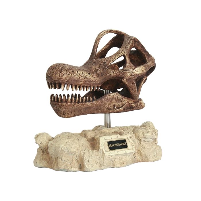 Dinosaurier Brachiosaurus auf Stein lebensgroß Dekoköpfe & Büsten