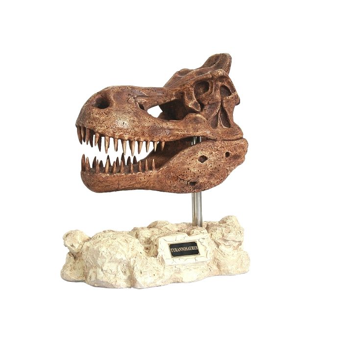 Dinosaurier Tyrannosaurus auf Stein lebensgroß Dekoköpfe & Büsten