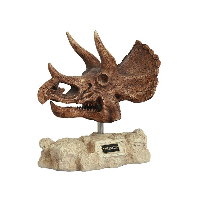 Dinosaurier Triceratops auf Stein lebensgroß Dekoköpfe & Büsten