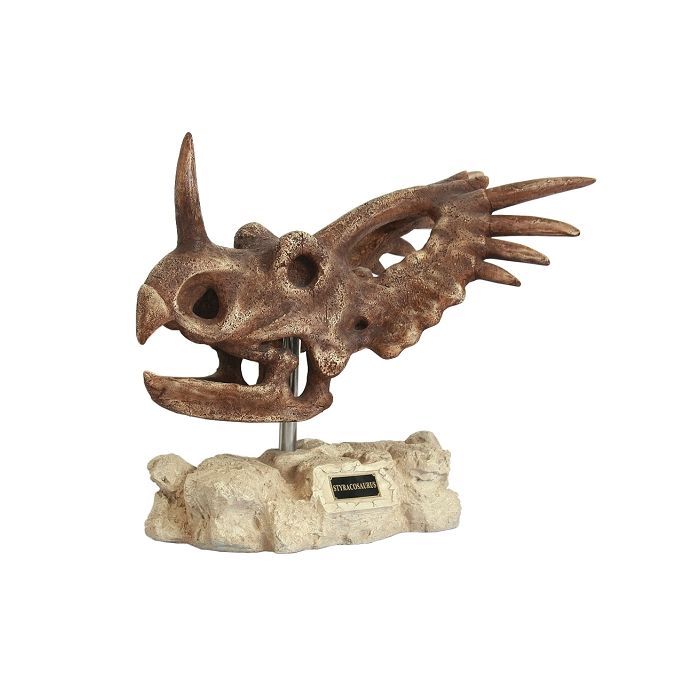 Dinosaurier Styracosaurus auf Stein lebensgroß Dekoköpfe & Büsten