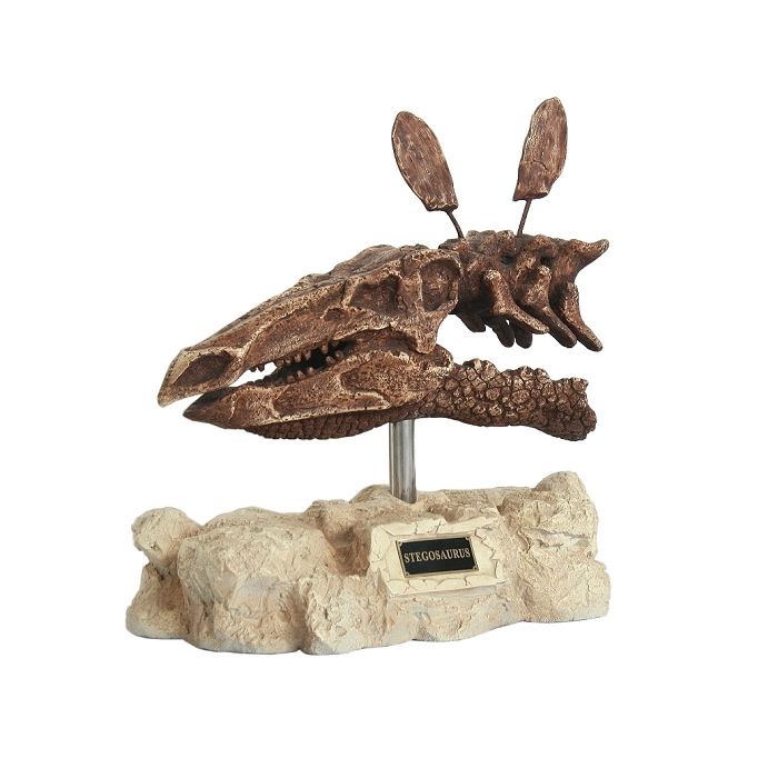 Dinosaurier Stegosaurus auf Stein lebensgroß Dekoköpfe & Büsten