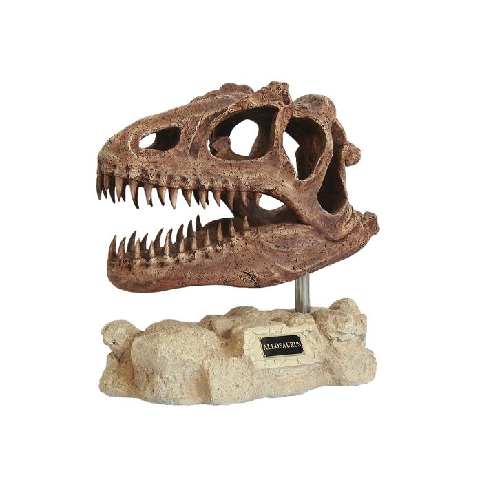 Dinosaurier Allosaurus auf Stein lebensgroß Dekoköpfe & Büsten