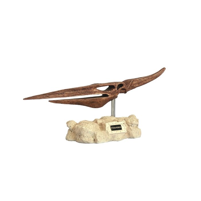 Dinosaurier Pteranodon auf Stein lebensgroß Dekoköpfe & Büsten