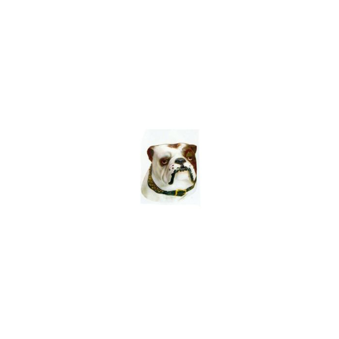 Kopf English Bulldog lebensgroß Dekoköpfe & Büsten
