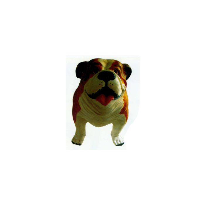 Englische Bulldogge XXXL braun weiß übergroß XXL Deko- & Werbefigur