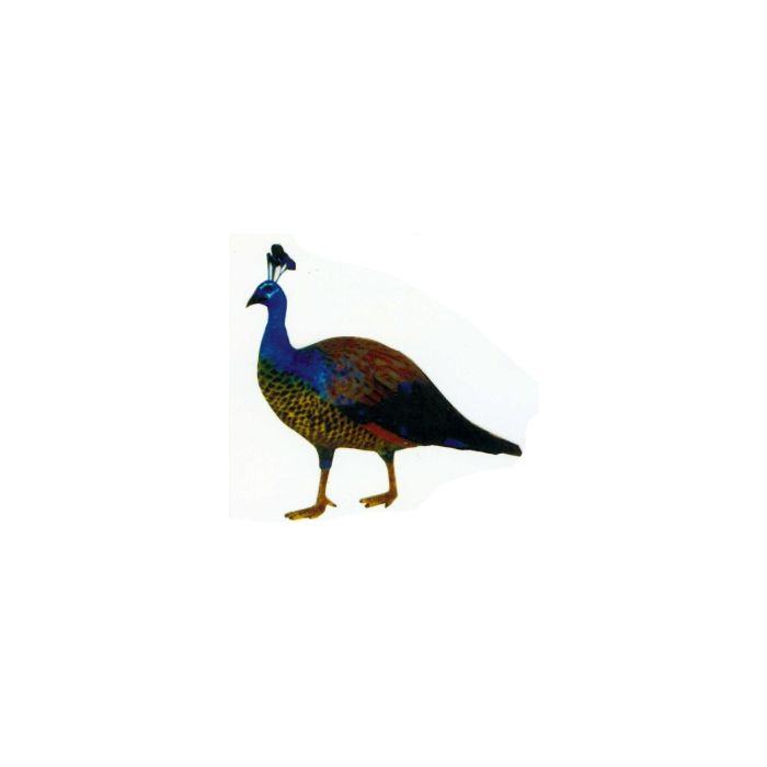 Pfau Männchen bunt lebensgroß Dekorationsfigur