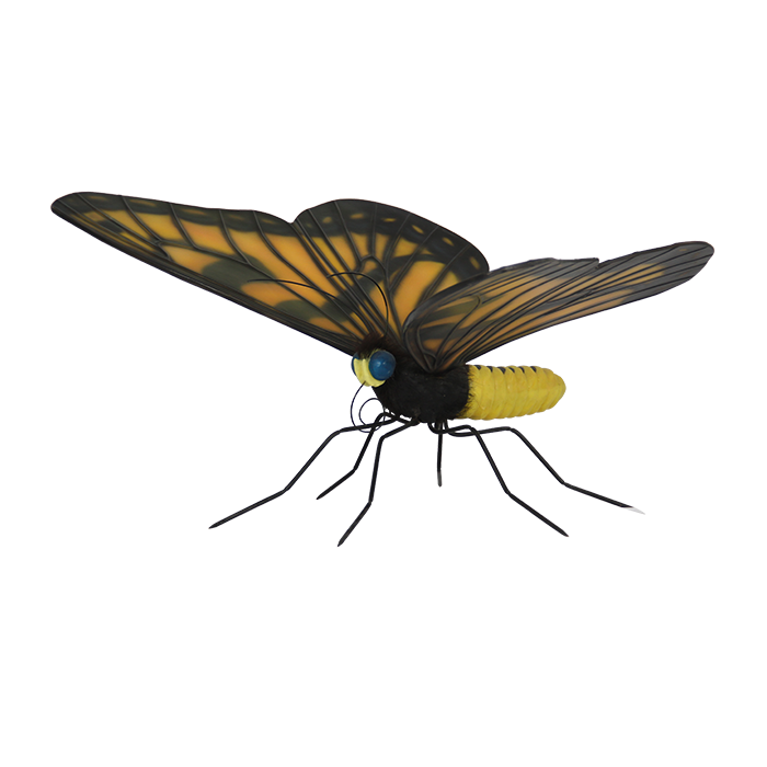 XXL Schmetterling keine Angabe