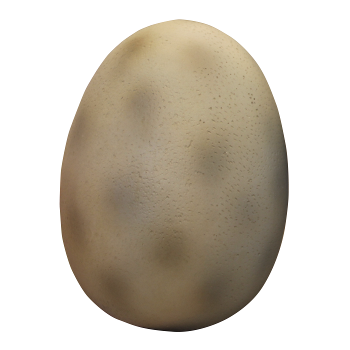 Dinoei klein lebensgroß