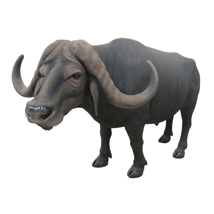 Buffalo lebensgroß