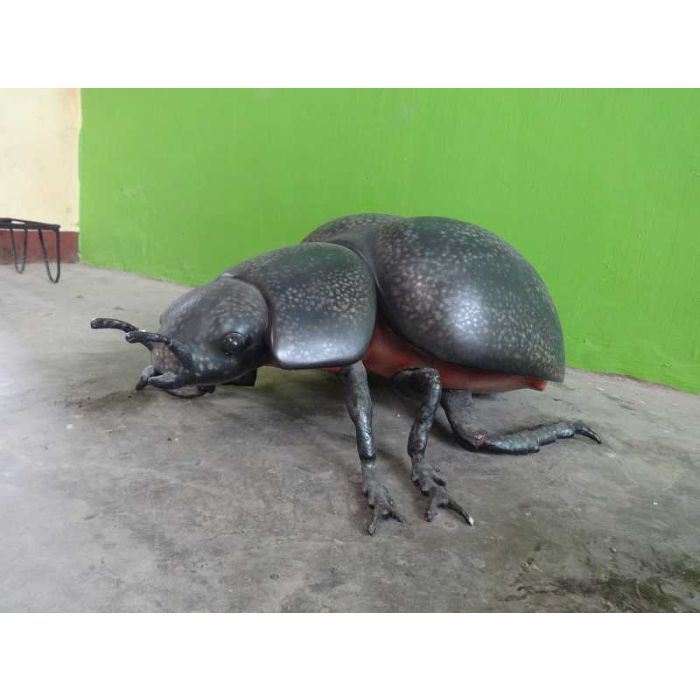 Käfer XXL keine Angabe