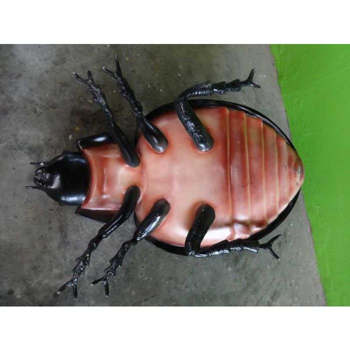 Käfer XXL keine Angabe