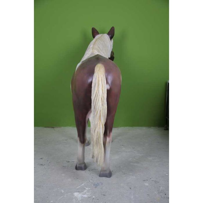 Pony braun weiß lebensgroß