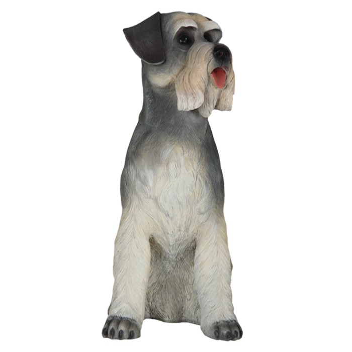 Sitzender Schnauzer lebensgroß