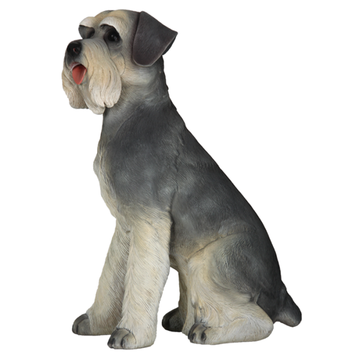 Sitzender Schnauzer lebensgroß