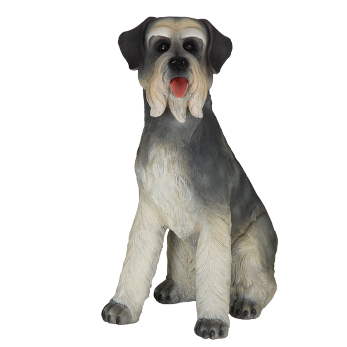 Sitzender Schnauzer lebensgroß