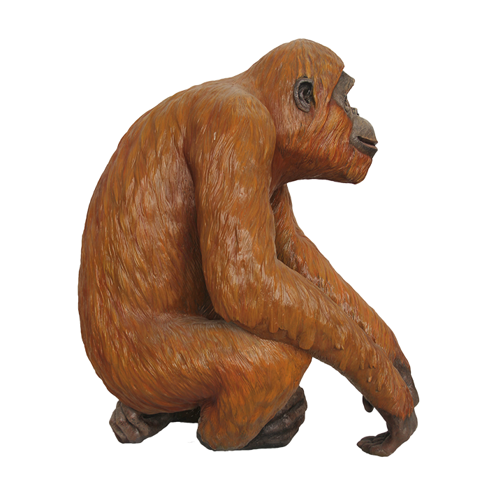Orang Utan sitzend lebensgroß