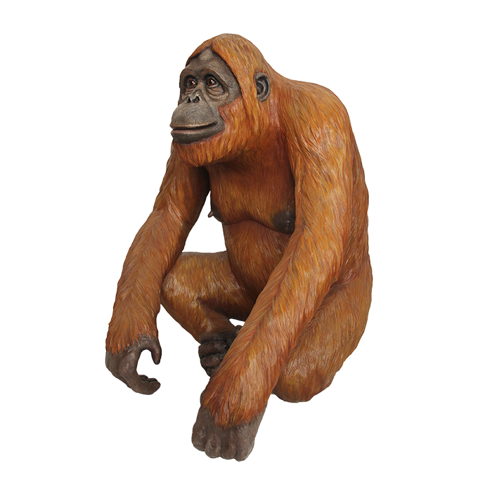 Orang Utan sitzend lebensgroß