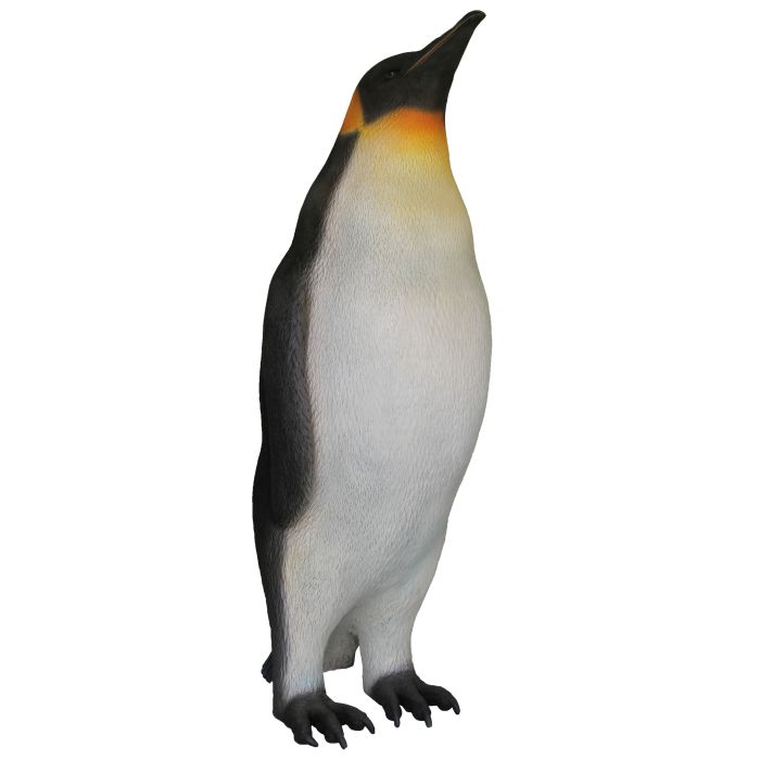 Kaiserpinguin Kopf oben lebensgroß