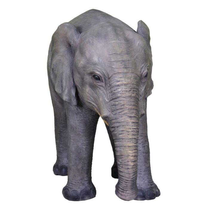 Baby Elefant lebensgroß