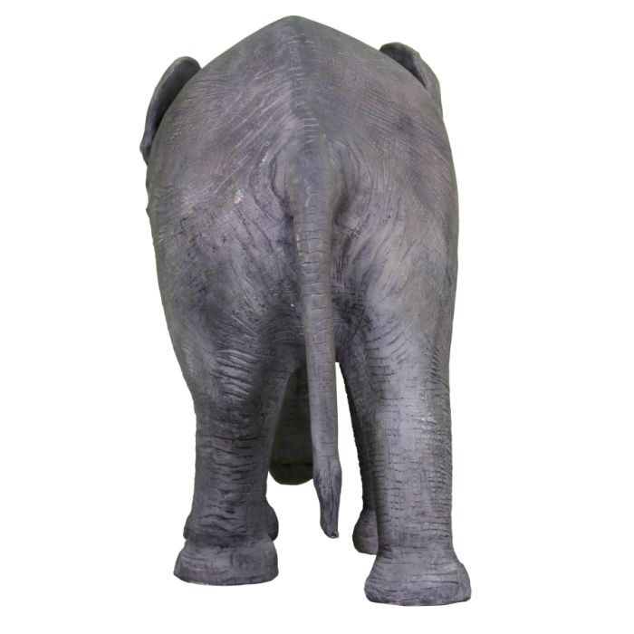 Baby Elefant lebensgroß