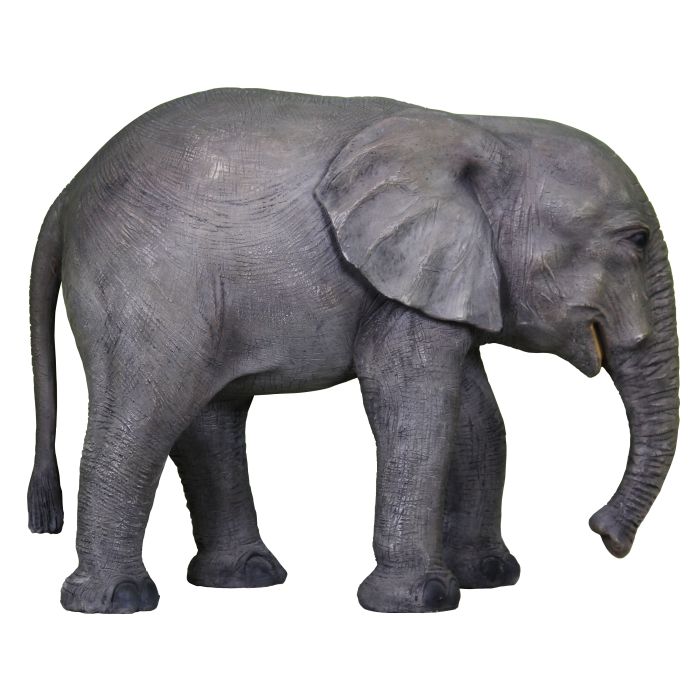 Baby Elefant lebensgroß