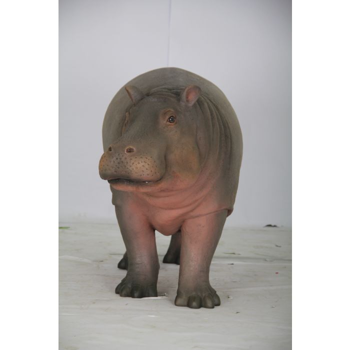 Baby Nilpferd lebensgroß