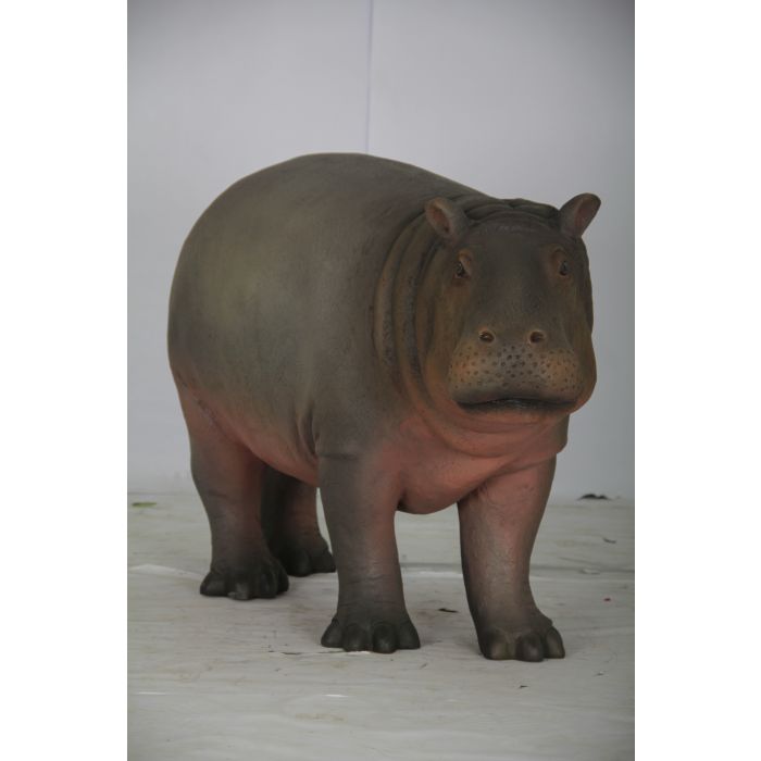 Baby Nilpferd lebensgroß