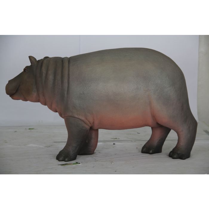 Baby Nilpferd lebensgroß