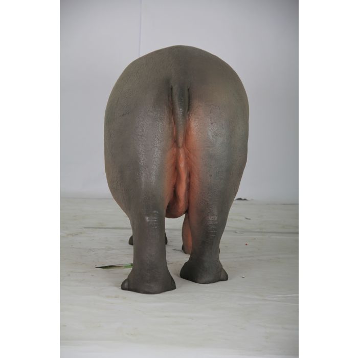 Baby Nilpferd lebensgroß