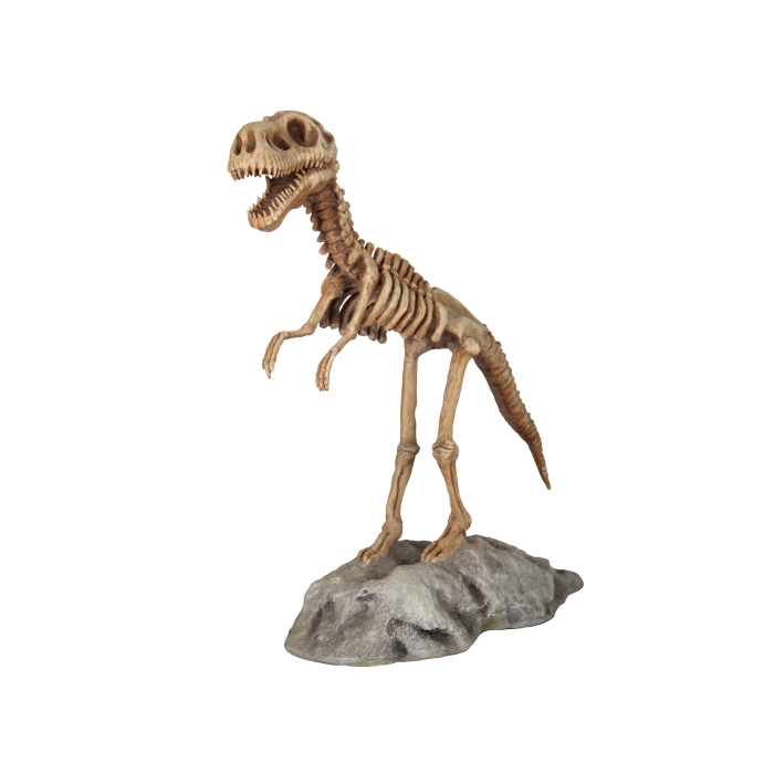 T-Rex Skelett auf Plattform lebensgroß