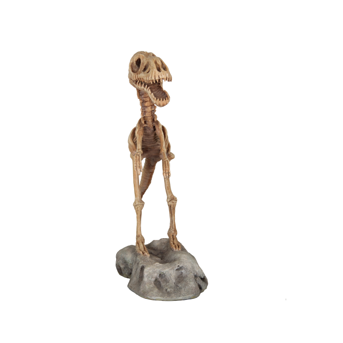 T-Rex Skelett auf Plattform lebensgroß