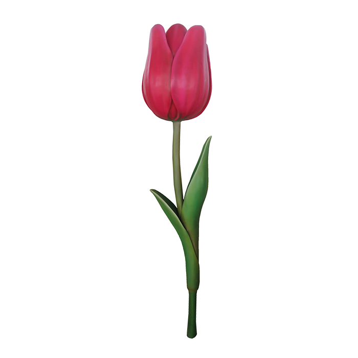 Dekotulpe keine Angabe