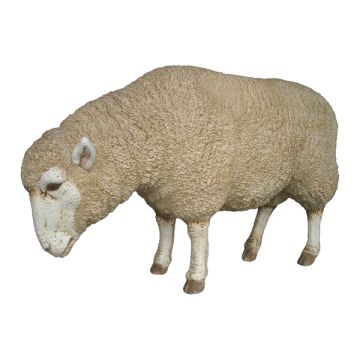 Merino Mutterschaf lebensgroß