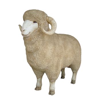Merino Schafsbock lebensgroß